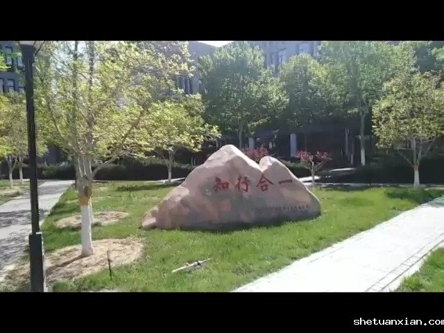 【2020高招】知行合一