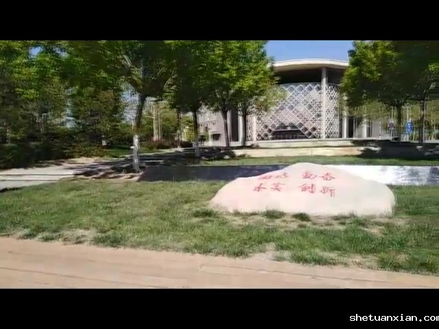 【2020高招】校风石