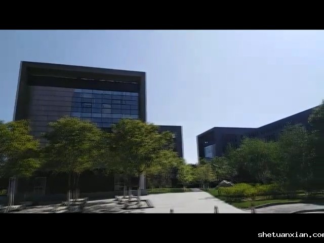 【2020高招】经管环能组团