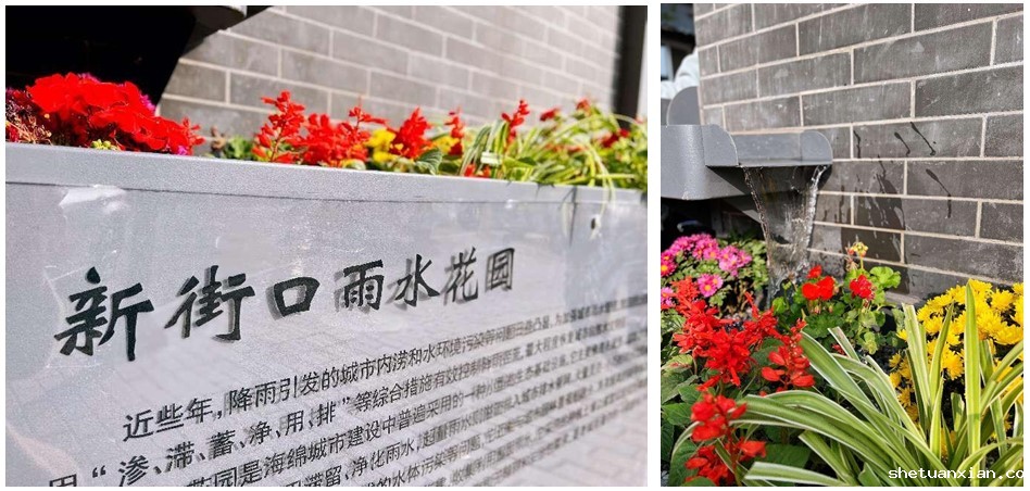 2d40485c9c804a638e4cf15002cbfb40.jpg 222.jpg